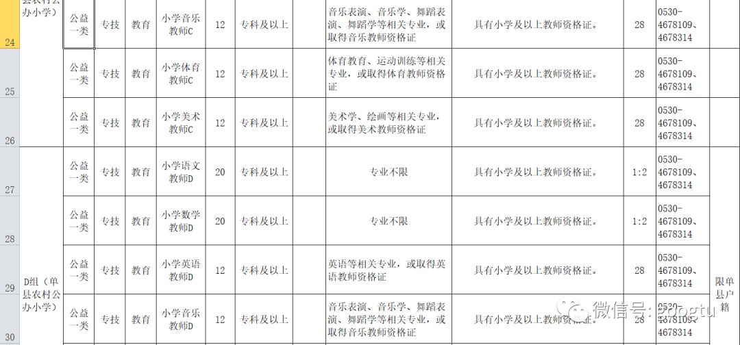 单县招聘网最新招聘,单县招聘网最新招聘动态深度解析