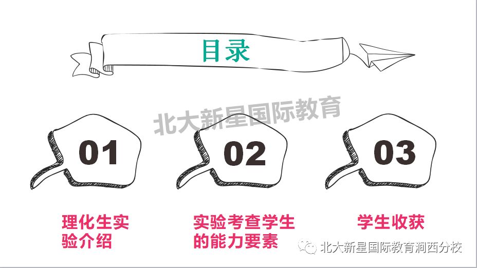 柯哀最新,柯哀最新动态与深度解读