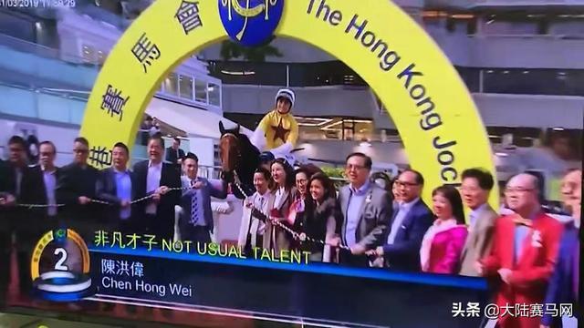 2024今晚香港开特马开什么,探索香港赛马文化，2024今晚特马开彩展望