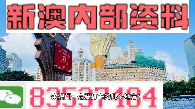 新澳门4949正版大全,新澳门4949正版大全与犯罪问题的探讨