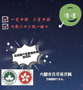 澳门王中王100%的资料三中三,澳门王中王100%精准资料解析，探索三中三的奥秘