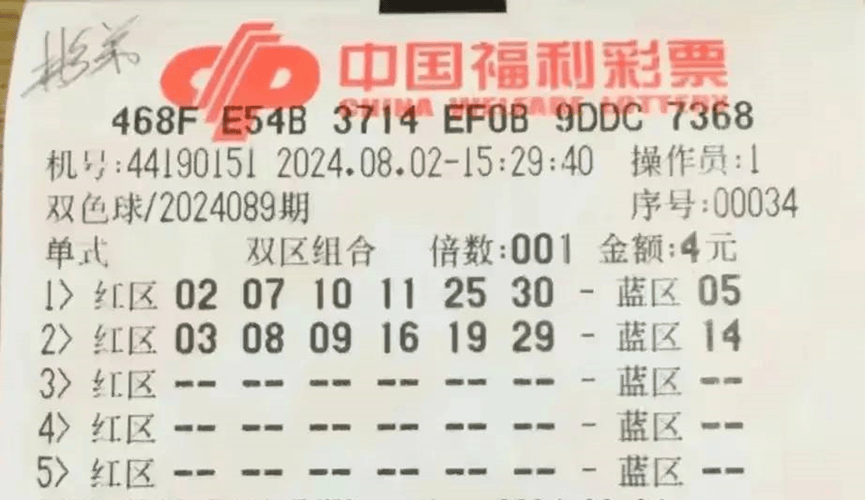 2024澳门今晚开奖号码,澳门彩票的开奖号码预测与解读