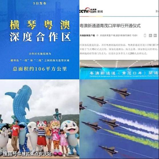 2024正版资料澳门跑狗图,探索澳门跑狗图，正版资料的深度解析（2024年最新版）