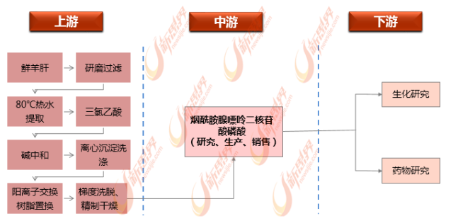 新澳精准资料,新澳精准资料，探索与应用的前沿领域