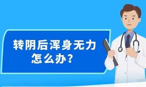 新澳精准资料期期精准24期使用方法,新澳精准资料期期精准24期使用方法详解