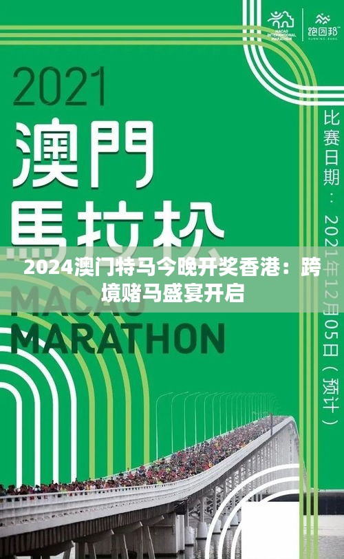 2024澳门特马今晚开,澳门特马今晚开，期待与惊喜的交融之夜