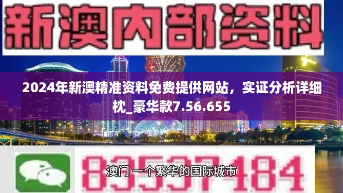 新澳内部资料精准大全,新澳内部资料精准大全，揭秘与警示