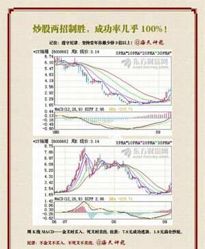 王中王最准100%的资料,王中王最准100%的资料，揭秘成功的秘诀