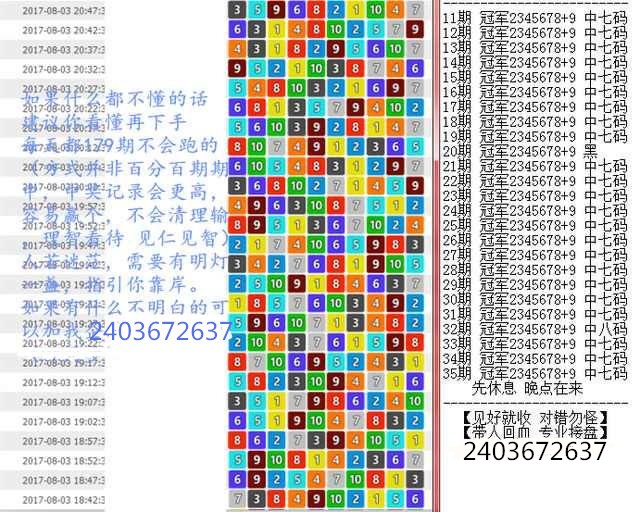 新澳门王中王100%期期中,新澳门王中王，揭秘期期中背后的秘密