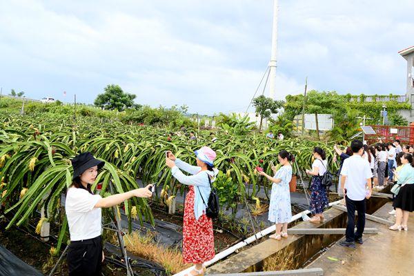 新澳精选资料免费提供开,新澳精选资料免费提供开启学习之门