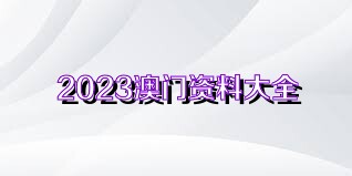 2024澳门正版资料免费大全,澳门正版资料免费大全，探索与启示（XXXX年展望）