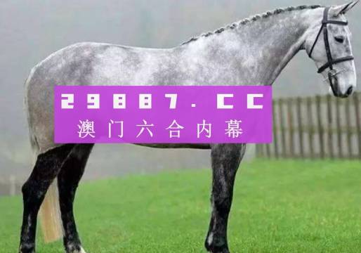 2023年澳门特马今晚开码,2023年澳门特马今晚开码——期待与揭秘