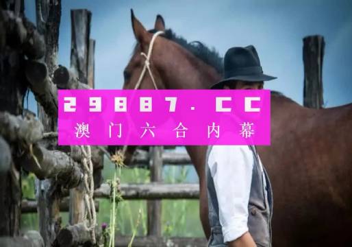 2023澳门正版全年免费资料,澳门正版全年免费资料，探索与体验的独特魅力