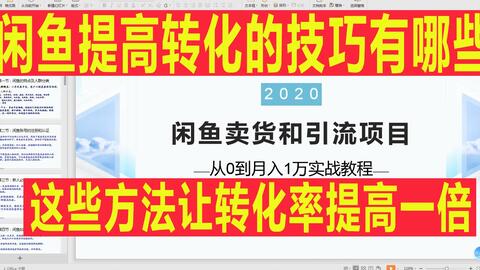 2024新奥正版资料免费提拱,2024新奥正版资料免费提拱，探索与启示