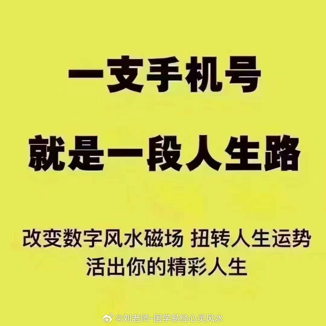 777778888精准跑狗,精准跑狗，探索数字世界中的77777与88888