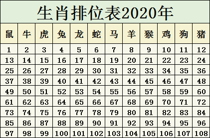 2025十二生肖49码表,揭秘，2025十二生肖与彩票49码表的不解之缘