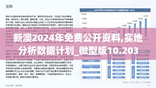 新澳2025年精准资料32期,新澳2025年精准资料解析，第32期展望