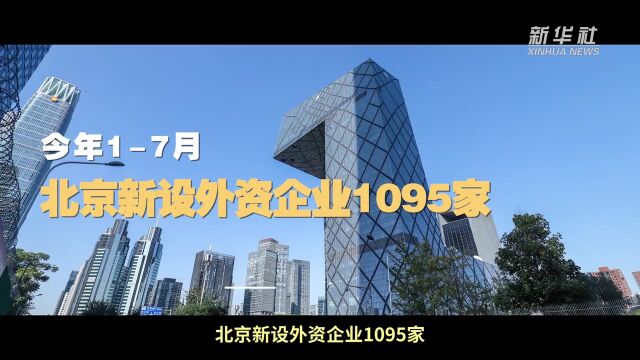 2025新奥门正版资料大全视频,探索未来之门，新澳门正版资料大全视频与未来的展望（2025展望）