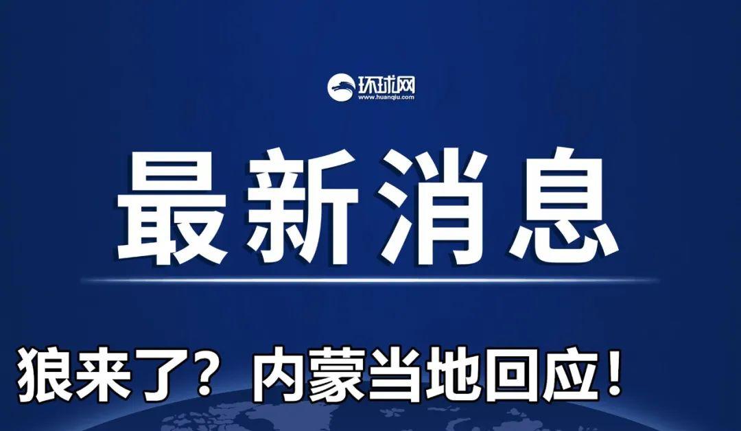 管家婆必中一肖一鸣,揭秘管家婆必中一肖一鸣，神秘预测背后的故事与真相